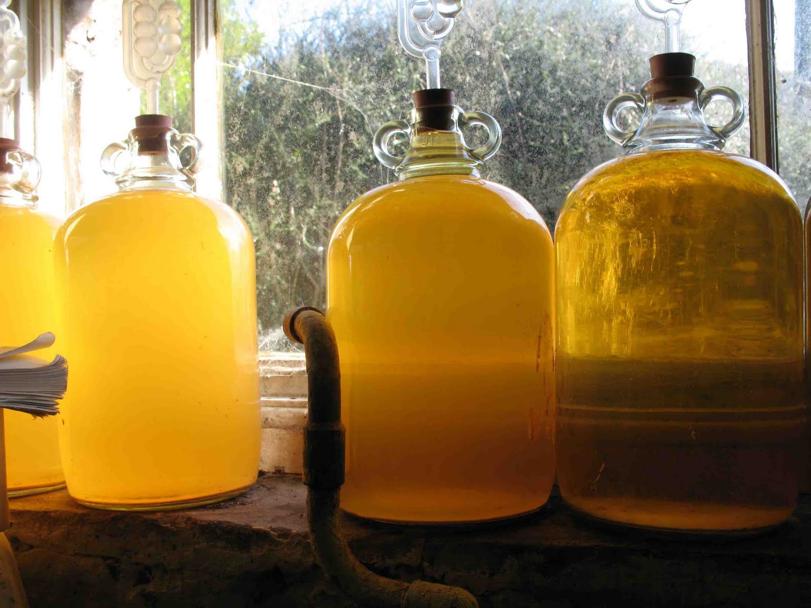 Translations of “rough cider”